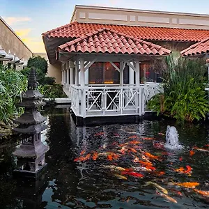 hyatt-regency-coco-beach-puerto-rico.comcaribbean.com/